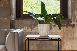 Bistro_Revoar_detail