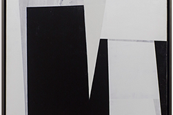 Ava_Castro_AC770401A-85105