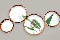 Galeria de Imagens Artimage - Espelhos