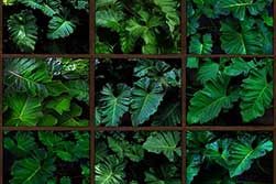 RL110098-1082 - Galeria de Imagens Artimage - Galeria